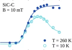 Martins et al