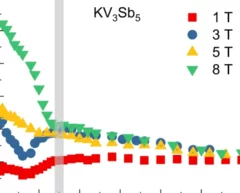 Guguchia et al, npj QM