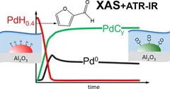 Pd Hydrides on Pd/Al2O3 in Liquid Environment