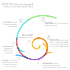 Evolution of a research project