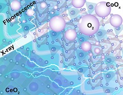 In situ and operando X-ray spectroscopy enables a better understanding of the enhanced oxygen evolution reaction activity of CoOx nanocatalysts coupled with CeO2.