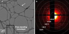 Cryo-TEM investigation of a free-standing monolayer of a calixarene derivative. The TEM-Picture on the left shows the monolayer deposited on a lacey carbon support. The electron diffraction pattern on the left confirms the formation of a crystalline monolayer