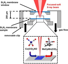 Scheme of the PolLux-STXM gas cell setup to realize precursor molecule flowing on 50 nm Si3N4 membrane surface and further in situ characterization. Two precursors were used in our experiments with metal ions in the center of the molecule: Co(CO)3NO and MeCpMn(CO)3.