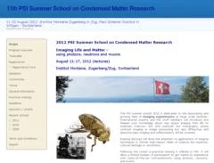 PSI Summer School