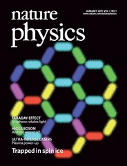 Nature Physics Cover Picture