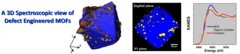 A Three Dimensional View of Chemical Heterogeneities in Defect-Engineered HKUST-1 Crystals