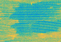 Figure 1.  Visualisation of magnetic domains in GOS  Steel sheet through dark-field contrast imaging