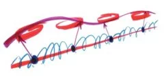 Hidden, Entangled and Resonating Orders