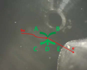 Image of a sample in the measurement position