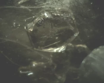 Ice crystal grown in equilibrium