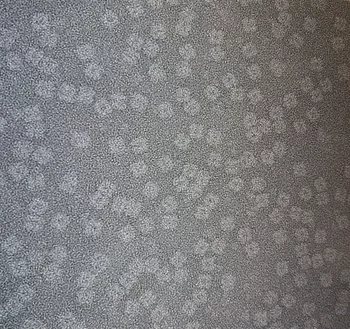 Protein Nanoparticles 