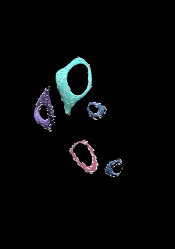 Magnetic beauty within: Reconstructed vortex rings inside a magnetic micropillar.