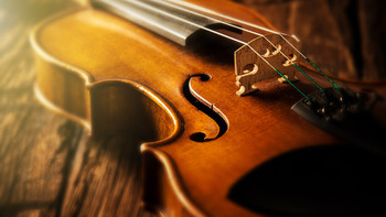 Eine alte Geige 