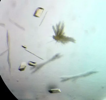 Fig. 1: Image of the crystallized enzyme for ethane degradation - the ethyl coenzyme M reductase.