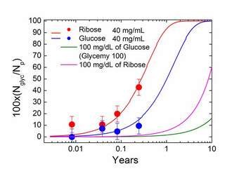 Predicted glycation over time