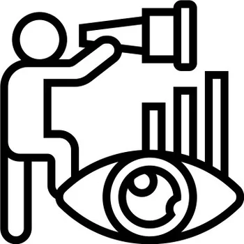 Vision