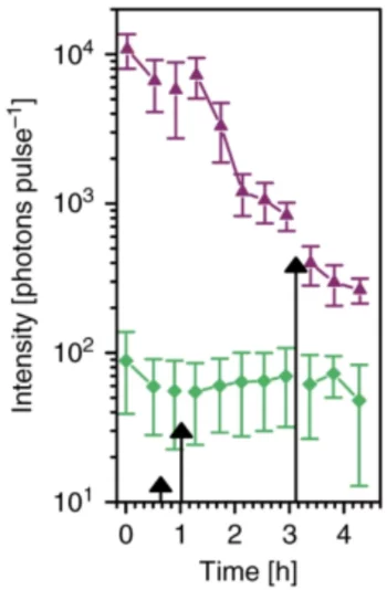 Response of the virus laser to ligand-binding