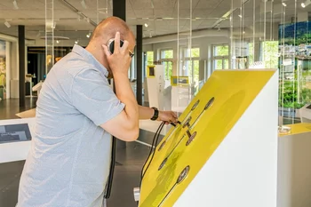 Interactive exhibits for you to try out.