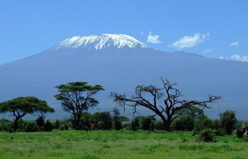 Au cours des 150 dernières années, le glacier du Kilimandjaro a déjà perdu quelque 90 % de son volume. «On part du principe qu’au cours des décennies qui viennent, il disparaîtra complètement à cause du changement climatique, affirme Theo Jenk. 