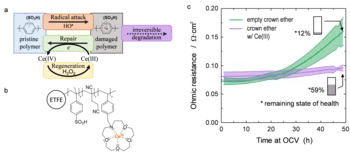 Catalytic_damage_repair_cycle