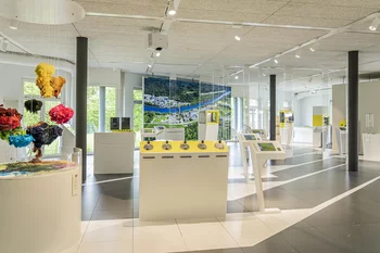 Blick ins Besucherzentrum psi forum