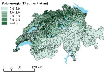 La carte indique la quantité de bois-énergie qu'il est possible d'obtenir de manière économique et écologiquement durable dans chaque commune. Elle peut être consultée sur map.geo.admin.ch sous «Biomasse ligneuse». 
