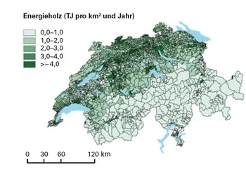 Die Karte zeigt, wie viel Energieholz sich wirtschaftlich und ökologisch nachhaltig in jeder Gemeinde gewinnen lässt. Sie kann auf map.geo.admin.ch unter «verholzte Biomasse» abgerufen werden. 