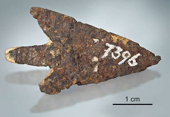La pointe de flèche de Mörigen (lac de Bienne, canton de Berne): des scientifiques sont parvenus à déterminer avec précision que le fer de cette pointe de flèche provenait d’une météorite.