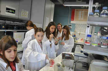Chemielaborant/in