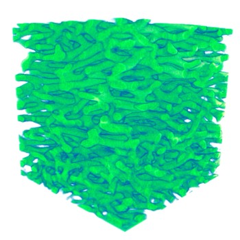 Figure 2: 3D rendering of chitinous fiber network of about 7×7×7 µm3 size