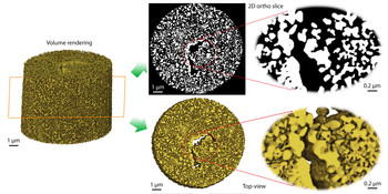3D rendering of hierarchically-structured monolithic nanoporous gold with approx. 23 nm spatial resolution obtained by ptychographic X-ray tomography, showing binary representation of gold and pores after image segmentation (above) and the resulting orthographic projection (below).