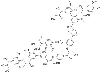 Figure 1: Example for the molecular structure of lignin