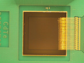 Picture of a CdTE strip sensor