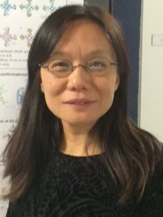 Photo of Xiaodan Li