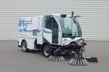 citycat.jpg
