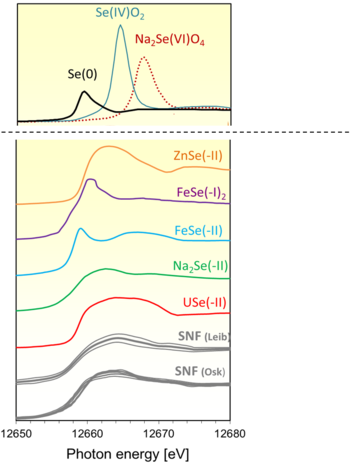 Figure 2: XANES obtained on the SF samples (in grey) compared with experimental spectra of reference compounds of selenium.
