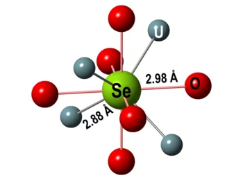 Figure 4: Optimized coordination environment of Se in UO2