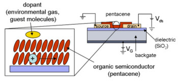 Fig. 1 Scheme of a field effect transistor based on organic molecules