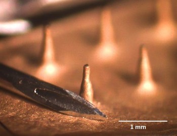 Hollow microneedles as produced at UBC in comparison with the tip of a conventional hypodermic needle.