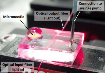 Integrated microneedle-optofluidic biosensor