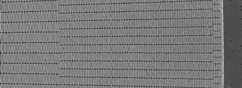 A Fresnel zone plate for high resolution imaging- D = 240 µm, dr = 8.8 nm