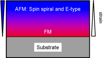 Diagram of the processes in the LuMnO3 layers studied. The layer is highly strained close to the substrate, which leads to a ferromagnetic (FM) order there. As the distance grows, the strain decreases so that two antiferromagnetic (AFM) orders appear: the spin spirals and the E-type, where two spins point in one direction and the next two in the other.
