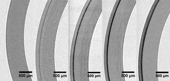 Figure 3: Neutron images of the DX-D4 cladding with various cooling rates (from left to right: quenching, ~100°C/h, 30°C/h, 10°C/h, 0.3°C/h).