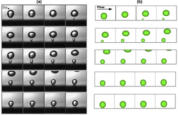 Convective boiling from a single nucleation site using micro-region model (Ref.).