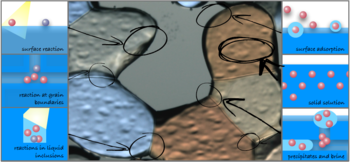 Illustration of the multiple domains in snow hosting impurities and reactions (from Bartels-Rausch et al., 2014).