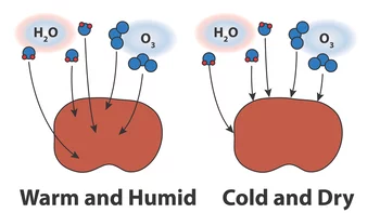 Diffusion of water vapor and traces gasses within a particle can be limited when a particle becomes highly viscous, typically occurring in dry and cold environments. This can impact processes such as chemical reactions and physical phenomena such as droplet and ice nucleation.