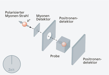 1. Polarisierte Myonen werden in die Probe hineingeschossen. 