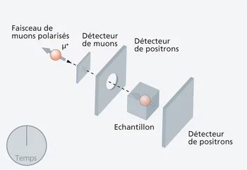 1. Des muons polarisés sont implantés dans l'échantillon.