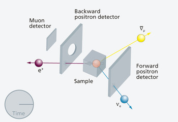 3. The Muon decays into three particles – the positron (e+) flies in the direction of the magnetic moment of the muon.