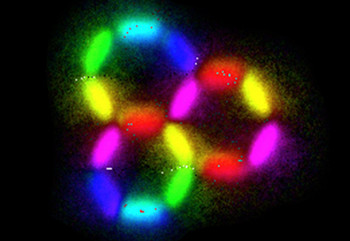 Mit Synchrotronlicht abgebildete Nanomagnete. Verschiedene Farben entsprechen verschiedenen Magnetisierungsrichtungen.
